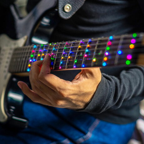 Fret Zealot For Bass Guitar