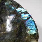 Genuine Polished Labradorite Freeform Bowl // 19.6 lbs