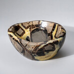 Genuine Polished Septarian Bowl // 4 lbs