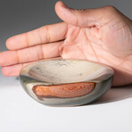 Genuine Polished Polychrome Bowl1