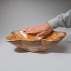 Genuine Polished Brown Banded Onyx Bowl