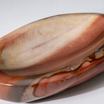 Genuine Polished Polychrome Bowl