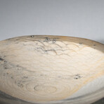 Genuine Polished Polychrome Bowl1