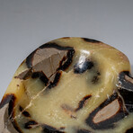Genuine Polished Septarian Heart Bowl V.2