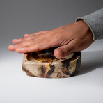 Genuine Polished Septarian Heart Bowl V.1