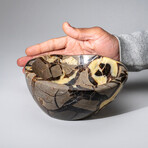 Genuine Polished Septarian Bowl // 4 lbs