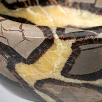 Genuine Polished Septarian Bowl // 4 lbs