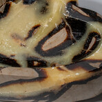 Genuine Polished Septarian Heart Bowl V.2