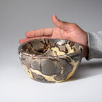 Genuine Polished Septarian Bowl // 4.5 lbs