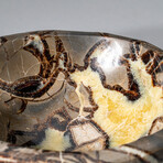 Genuine Polished Septarian Bowl // 4.5 lbs