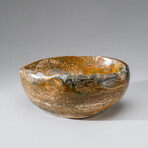 Genuine Polished Ocean Jasper Freeform Bowl V.1