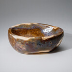 Genuine Polished Ocean Jasper Freeform Bowl V.2