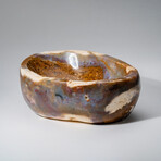 Genuine Polished Ocean Jasper Freeform Bowl V.2