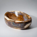 Genuine Polished Ocean Jasper Freeform Bowl V.2