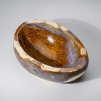 Genuine Polished Ocean Jasper Freeform Bowl V.2