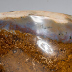 Genuine Polished Ocean Jasper Freeform Bowl V.2