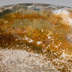 Genuine Polished Ocean Jasper Freeform Bowl V.1