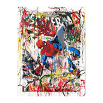 Mr. Brainwash // Spiderman // Hand-Finish // 2019