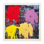 Mr. Brainwash // Flowarh$ - II (C ) // 2021