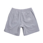 Seeker Volley Shorts // Stone Gray (2XL)