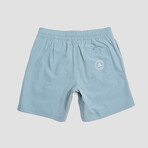 Seeker Volley Shorts // Dusty Blue (L)