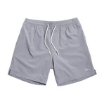 Seeker Volley Shorts // Stone Gray (2XL)