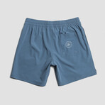 Seeker Volley Shorts // Indigo (L)