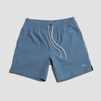 Seeker Volley Shorts // Indigo (L)