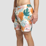 Seeker Volley Shorts // Georgia (XL)