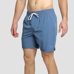 Seeker Volley Shorts // Indigo (L)