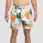 Seeker Volley Shorts // Georgia (XL)