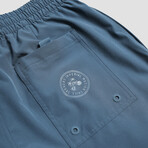 Seeker Volley Shorts // Indigo (L)