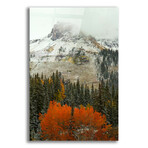 A Rocky Mountain Autumn II // Bill Sherrell (12"W x .13"D x 16"H)