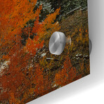 A Rocky Mountain Autumn II // Bill Sherrell (12"W x .13"D x 16"H)