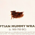 Egyptian Mummy Wrap Artifact Display