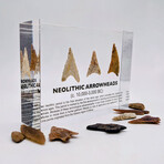 Neolithic Arrowheads Artifact Display