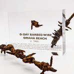 D-Day Barbed Wire Artifact Display