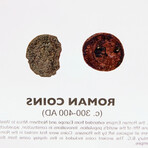 Roman Coins Artifact Display