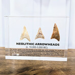 Neolithic Arrowheads Artifact Display