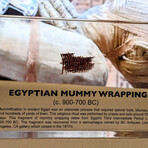 Egyptian Mummy Wrap Artifact Display