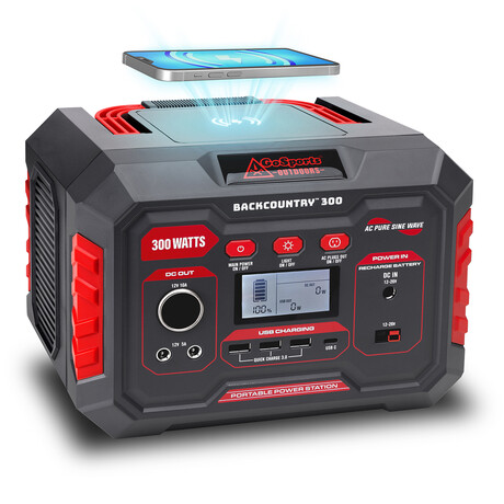 Backcountry Portable Power Station (300W)