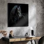 Black Equine Attraction // Frameless Free Floating Tempered Glass Panel Graphic Wall Art