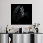 Black Equine Attraction // Frameless Free Floating Tempered Glass Panel Graphic Wall Art