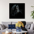 Black Equine Attraction // Frameless Free Floating Tempered Glass Panel Graphic Wall Art