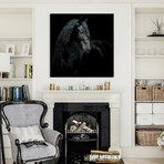 Black Equine Attraction // Frameless Free Floating Tempered Glass Panel Graphic Wall Art