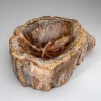 Genuine Polished Petrified Wood Bowl // 16.4 lbs