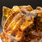 Giant Genuine Polished Colombian Copal Amber with Insects and Organic Inclusions // 6 lbs