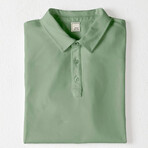 All in Polo // Sage Green (2XL)