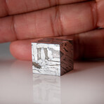 Genuine Natural Muonionalusta Meteorite Cube // 38g