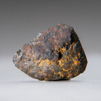 Genuine Canyon Diablo Meteorite